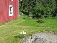 juni2007 2 176